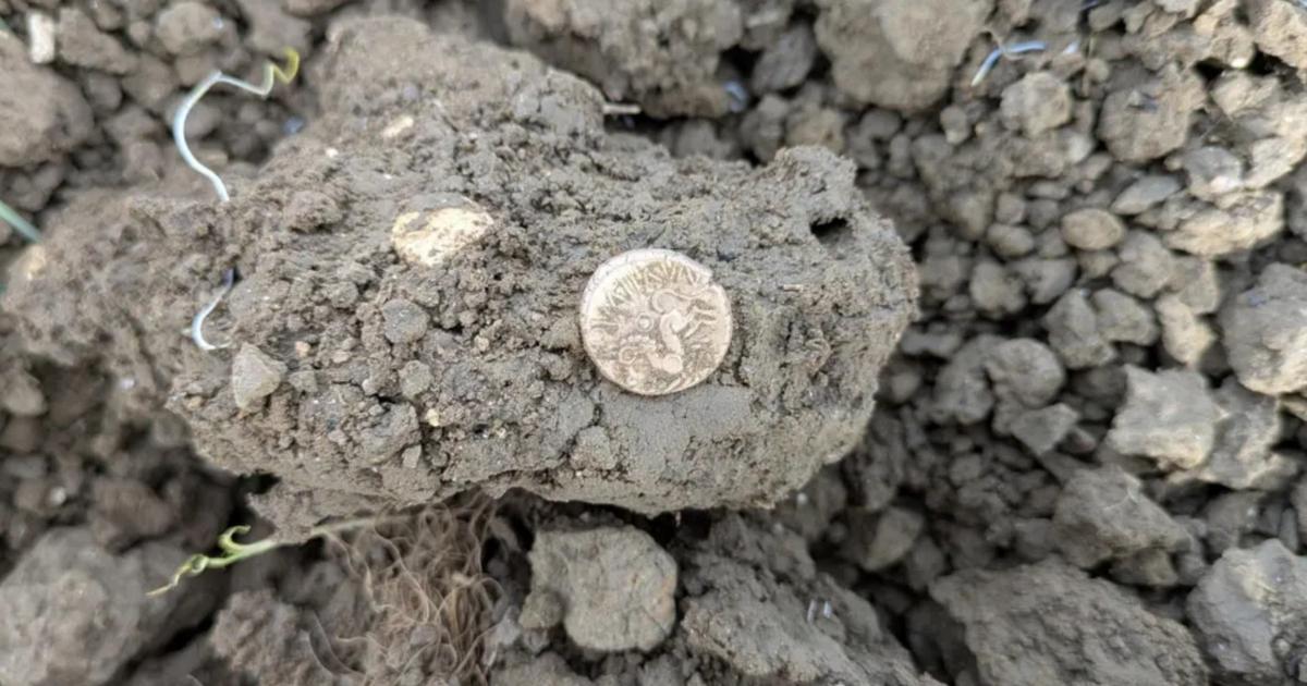 Découverte exceptionnelle en Angleterre : un trésor de l'âge du Fer révélé par un professeur d'histoire